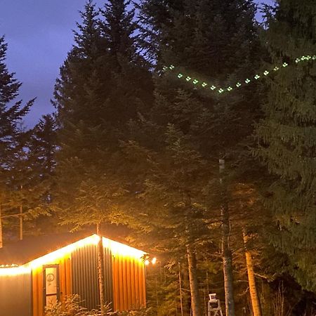Феєрія Лісу Skhidnytsia Exterior foto
