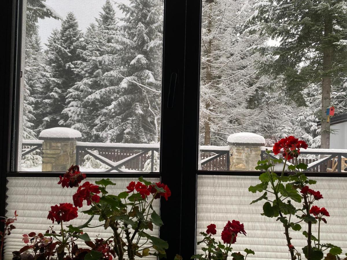 Феєрія Лісу Skhidnytsia Exterior foto