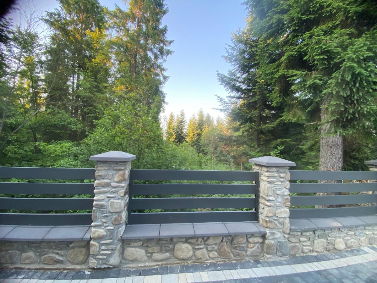 Феєрія Лісу Skhidnytsia Exterior foto