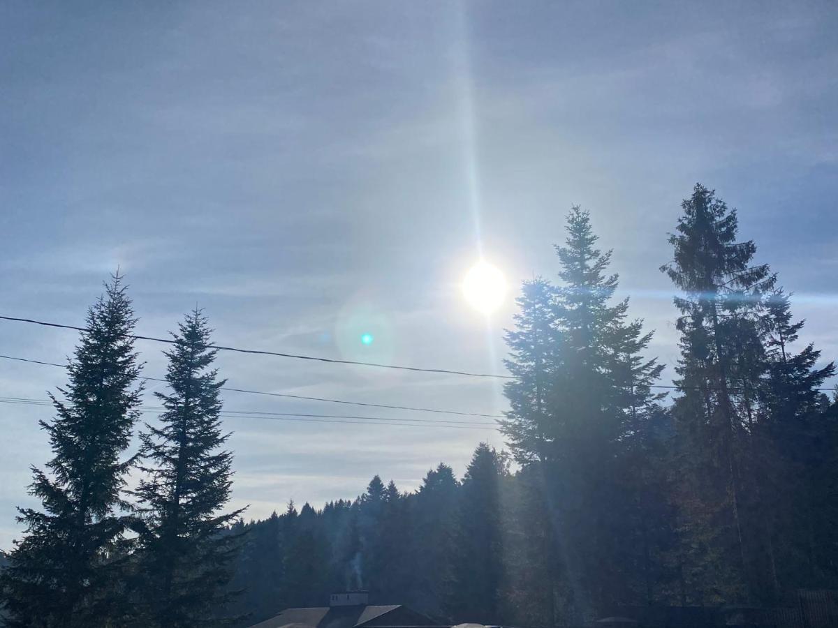 Феєрія Лісу Skhidnytsia Exterior foto