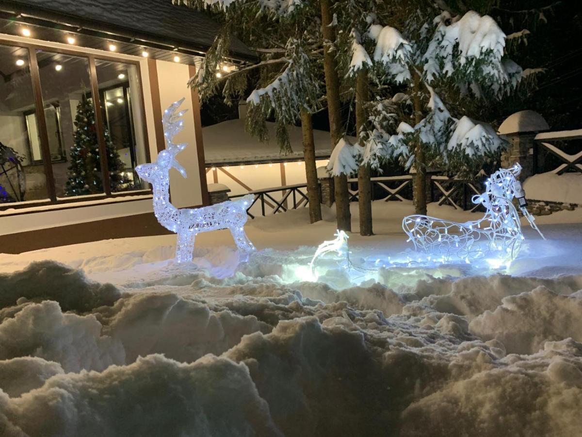 Феєрія Лісу Skhidnytsia Exterior foto